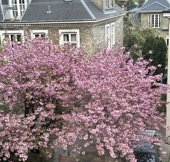 OK67 - for alle pensionister